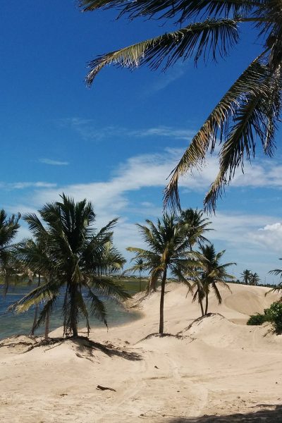 barrinha